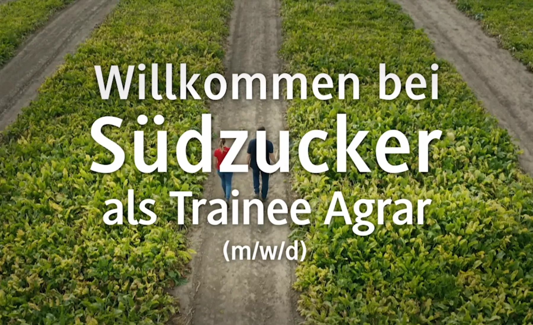 Working at Südzucker as an Agricultural Trainee