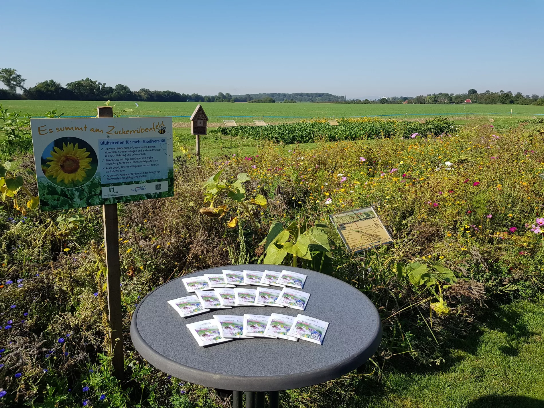 Biodiversität Blühstreifen