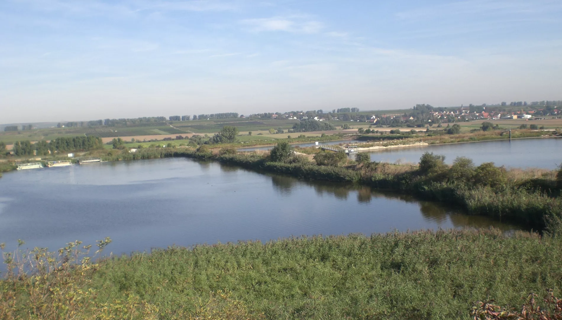 Sustainability biodiversity ponds