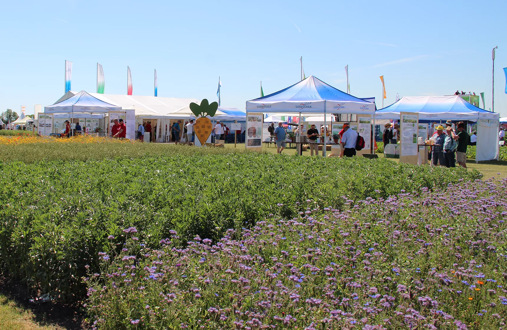 Südzucker exhibition stand