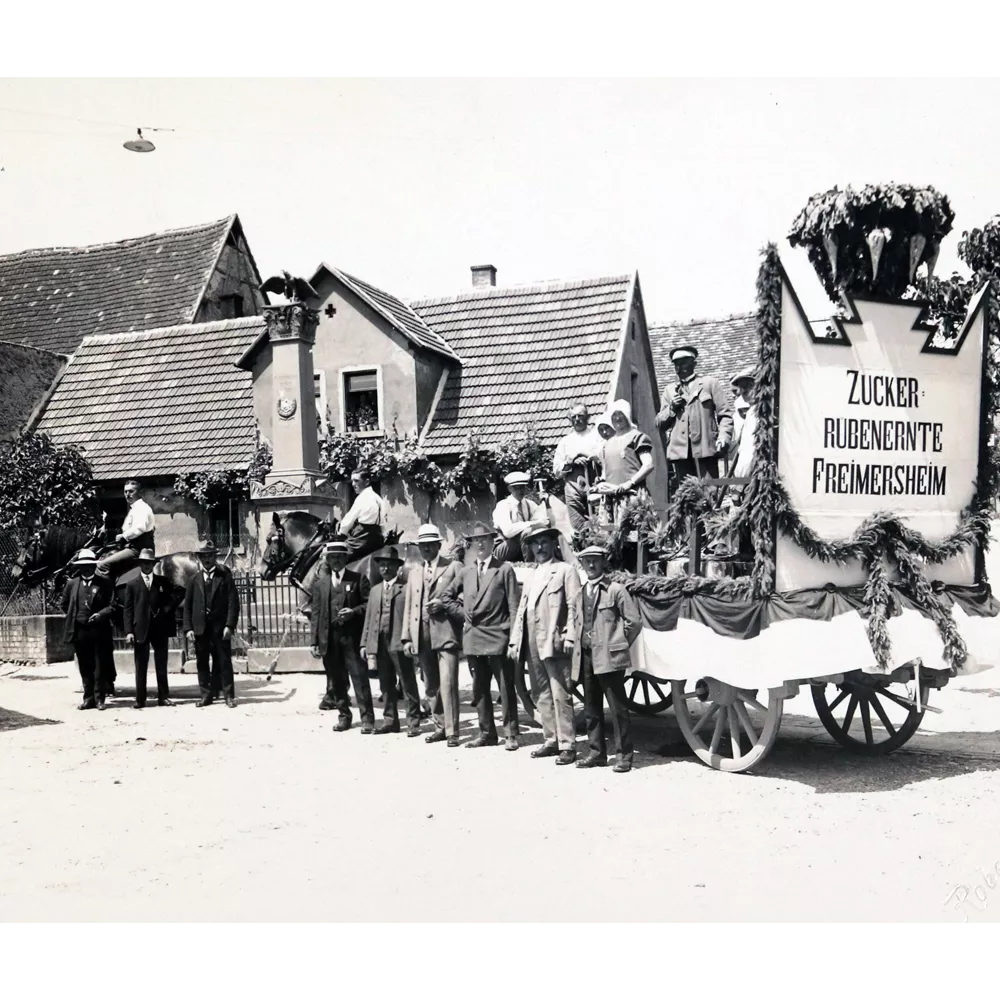Zuckerrübenernte, Freimersheim