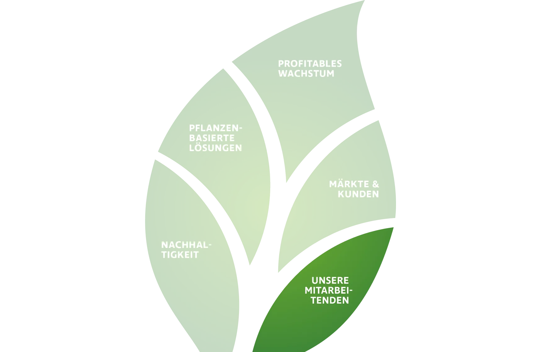 Südzucker Group Strategy 2030