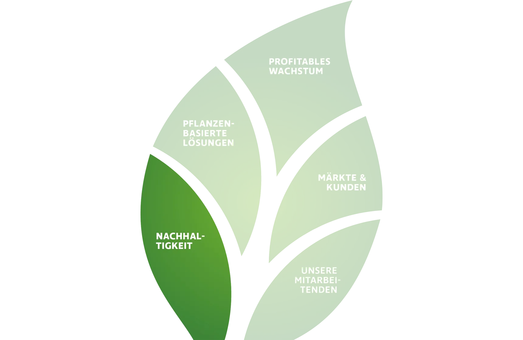 Südzucker Group Strategy 2030