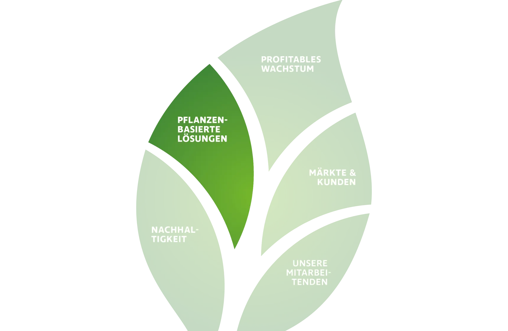 Südzucker Group Strategy 2030