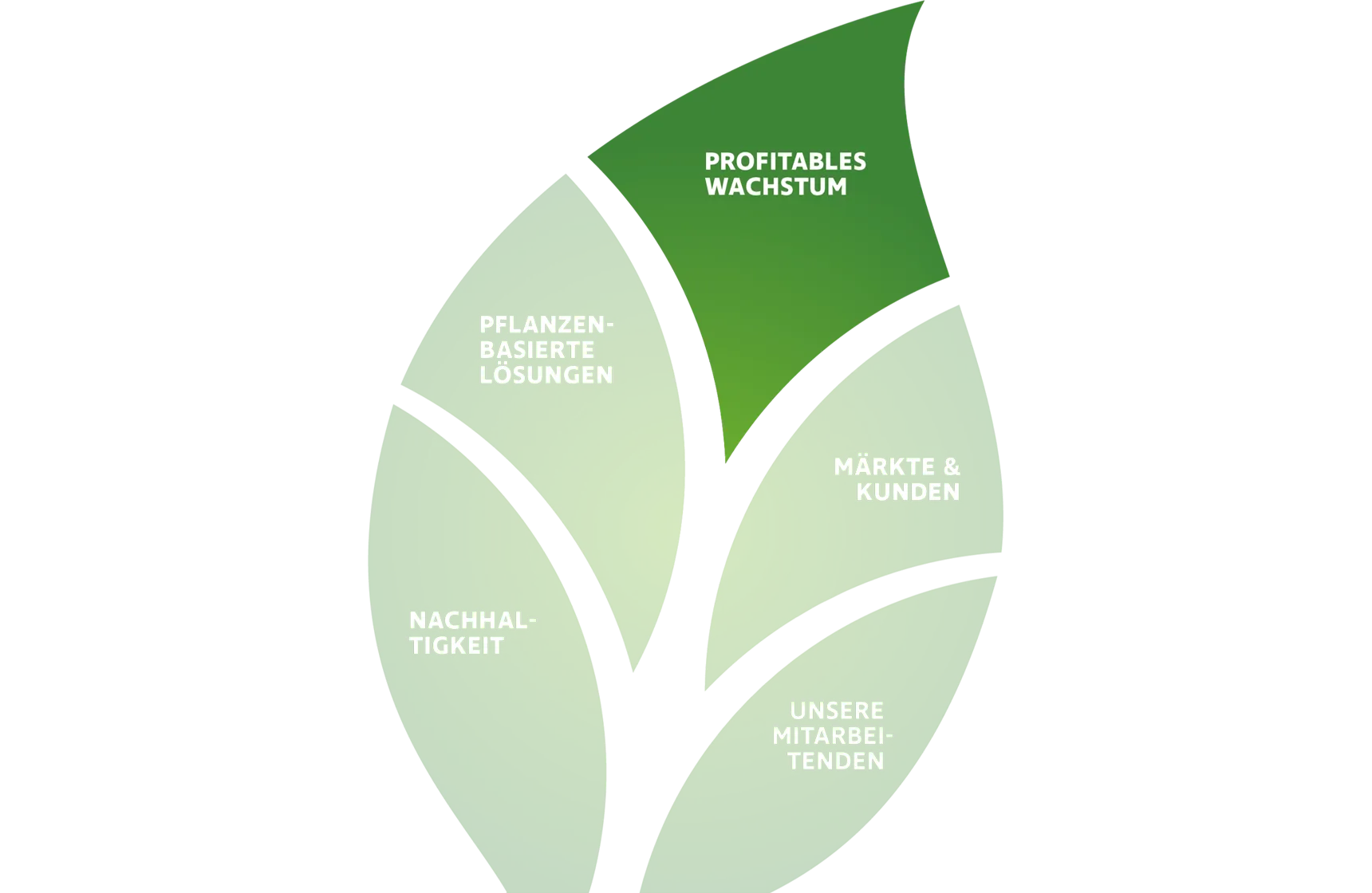 Südzucker Group Strategy 2030