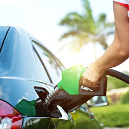 © hxdbzxy/Shutterstock.com CropEnergies segment