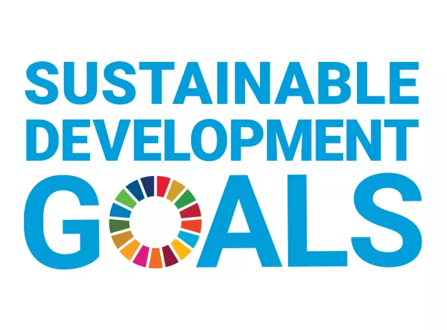 Sustainable Development Goals