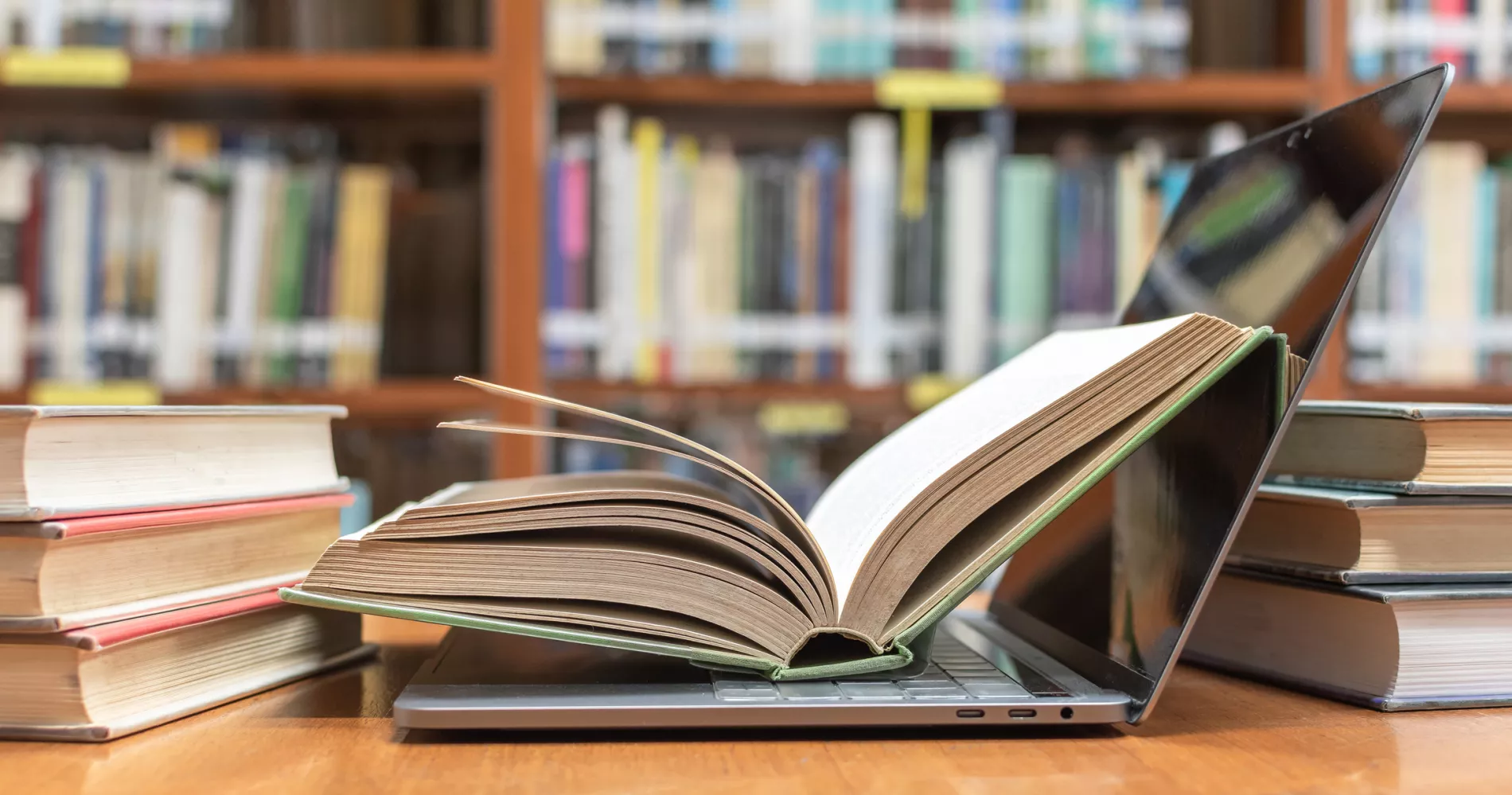 © iStock.com/Chinnapong Education